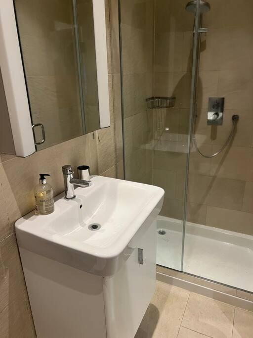 Four Bedroom Modern Victorian Wandsworth House London Luaran gambar